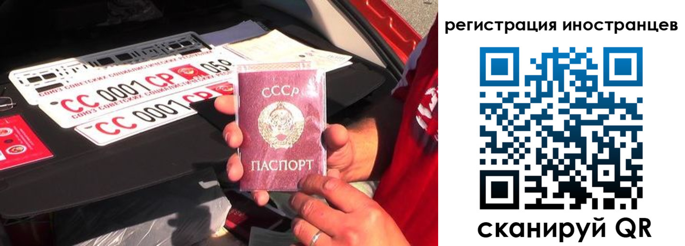 прописка гарантия в Камбарке